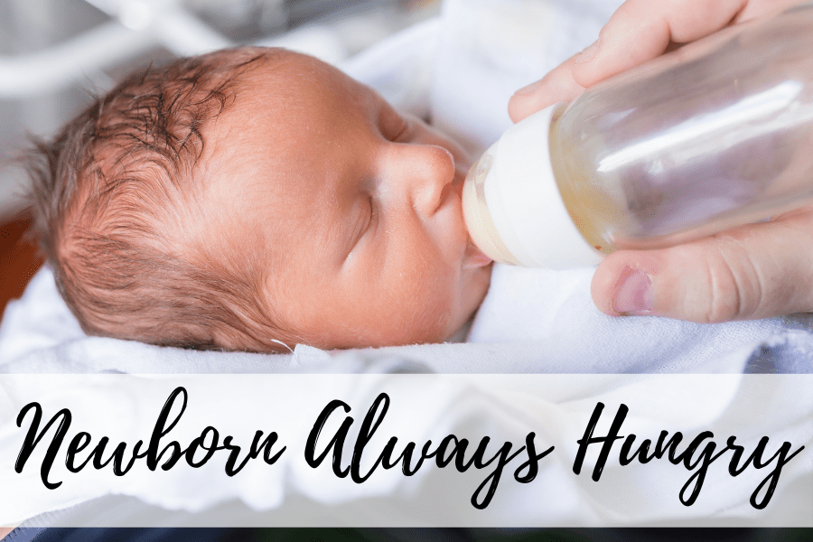 newborn always hungry