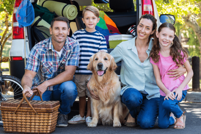 summer activities for families