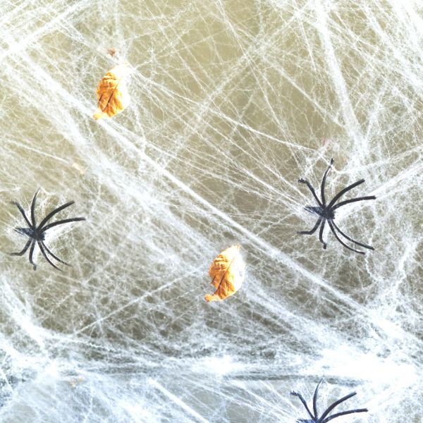 Halloween Party Decorations