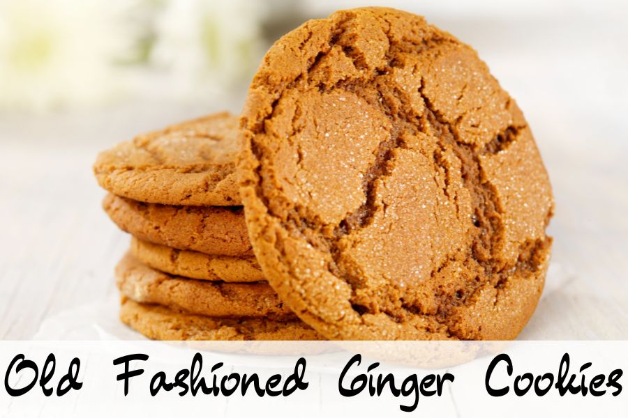 old fashioned ginger cookies
