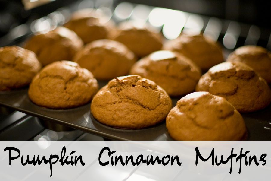 pumpkin cinnamon muffins